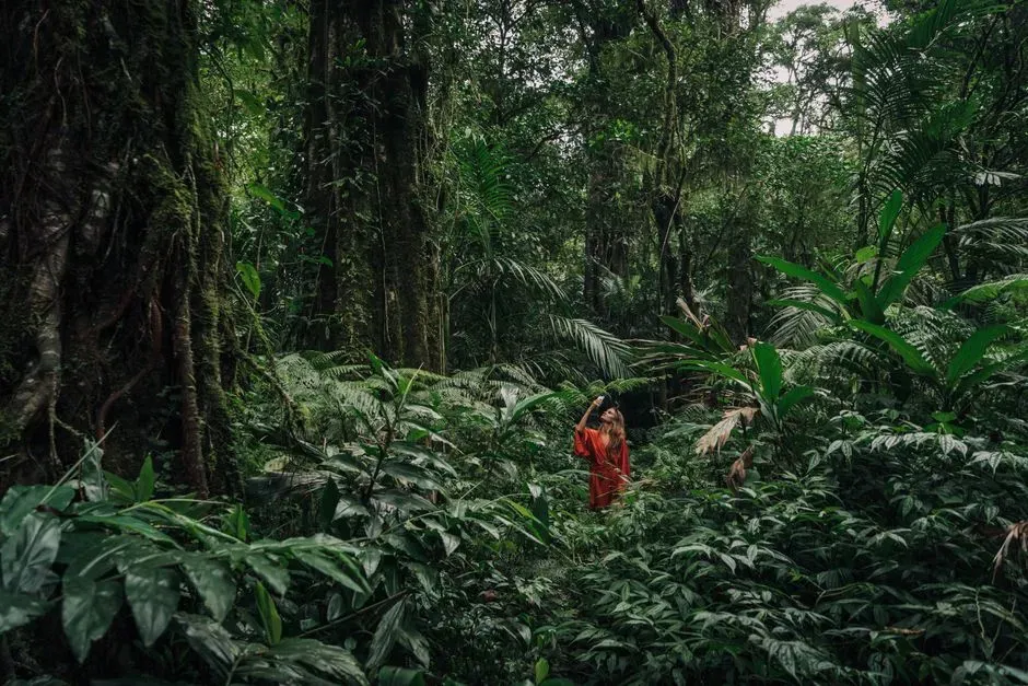 The Chocó's rainfall-driven hyper-endemism (Image Credits: Pexels)