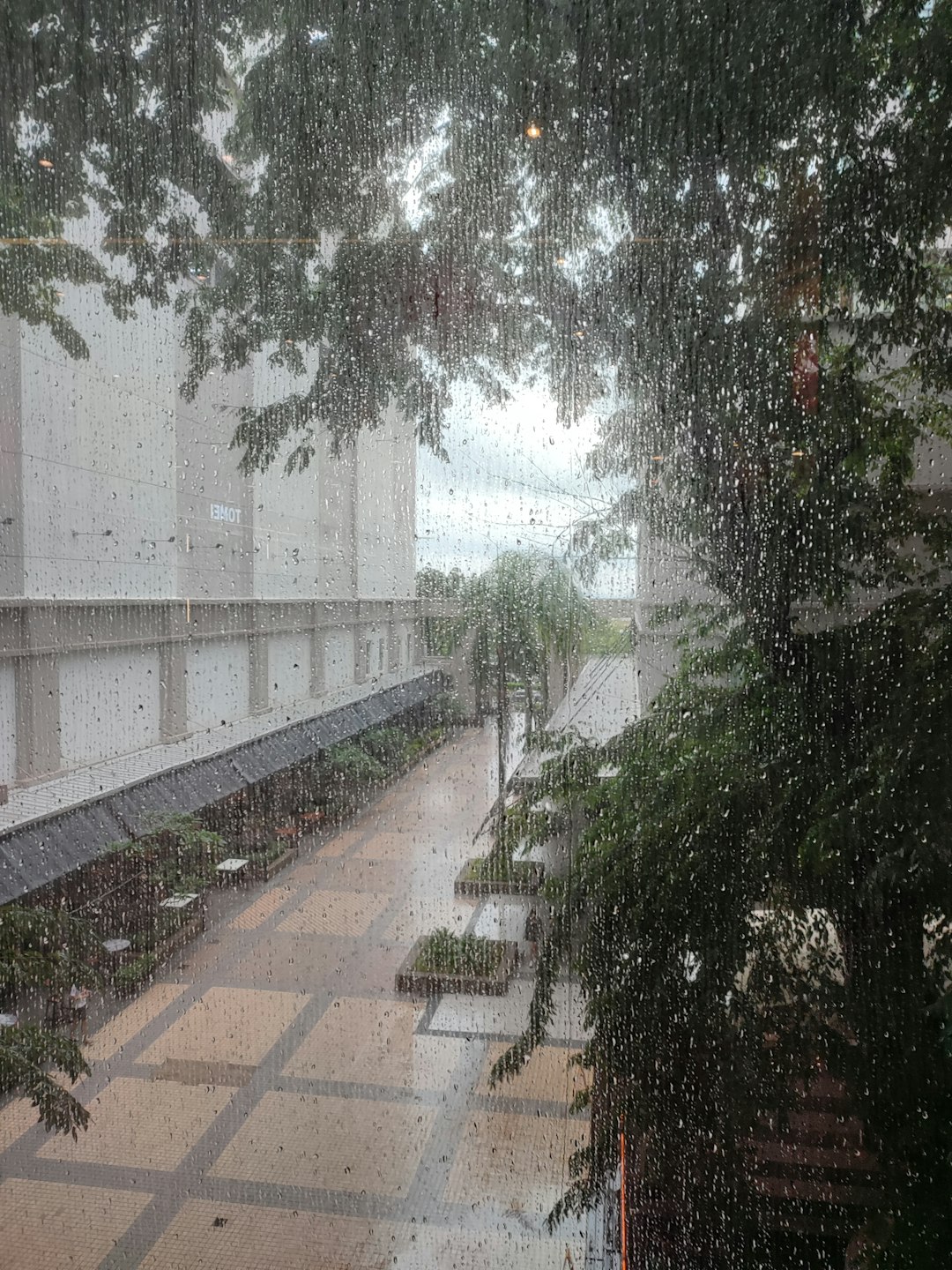 Florida - The Sunshine State's Wet Secret (image credits: unsplash)