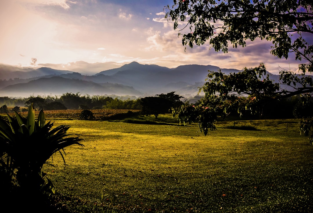 Agricultural Systems at Breaking Point (image credits: unsplash)