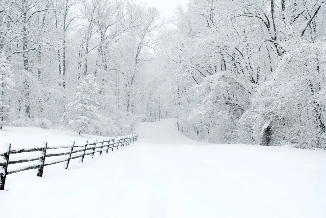 The UK and parts of Europe face their coldest stretch in over a decade (Image Credits: Unsplash)