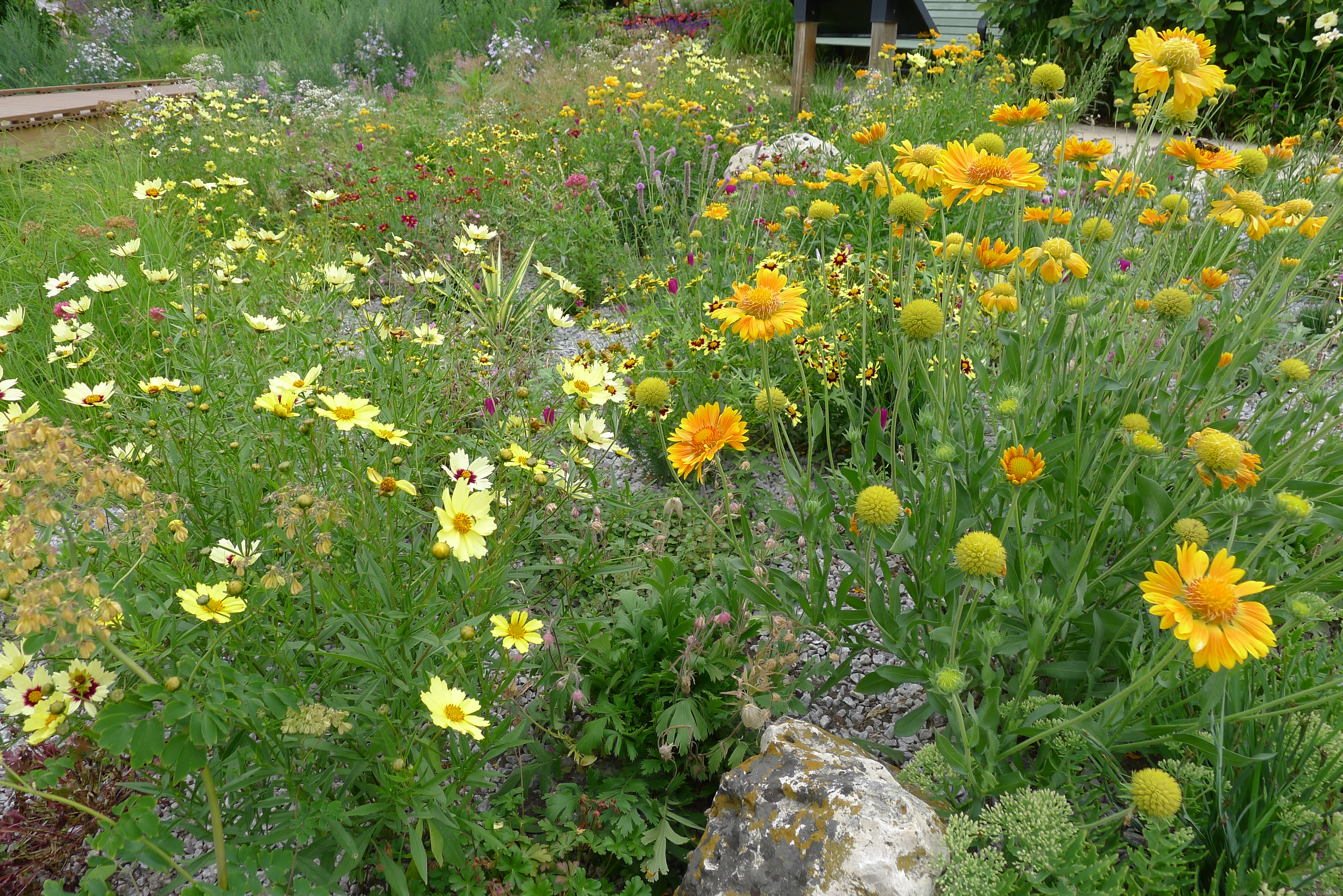 Outdoor Water Management and Landscaping (image credits: wikimedia)