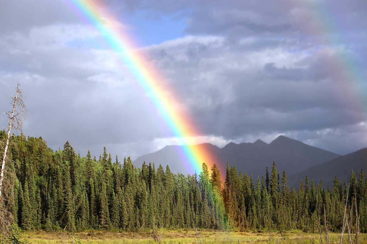 The Three-Step Magic Behind Every Rainbow (image credits: pixabay)