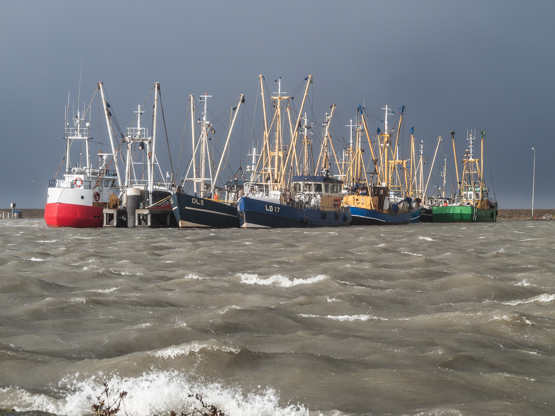 Ripple Effects at Sea: Impact on Marine Life (image credits: wikimedia)