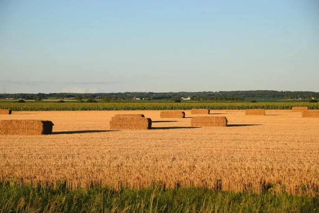 5. Illinois (Tobyotter, Flickr, CC BY 2.0)