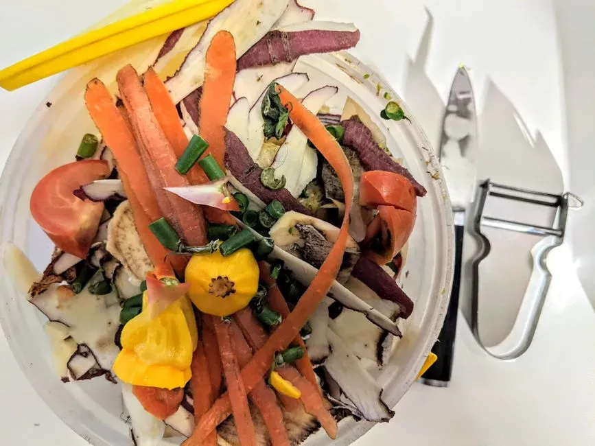4. Actively reducing food waste at home (Image Credits: Pexels)