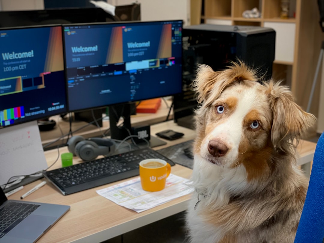 The Workplace Is Going to the Dogs (image credits: unsplash)