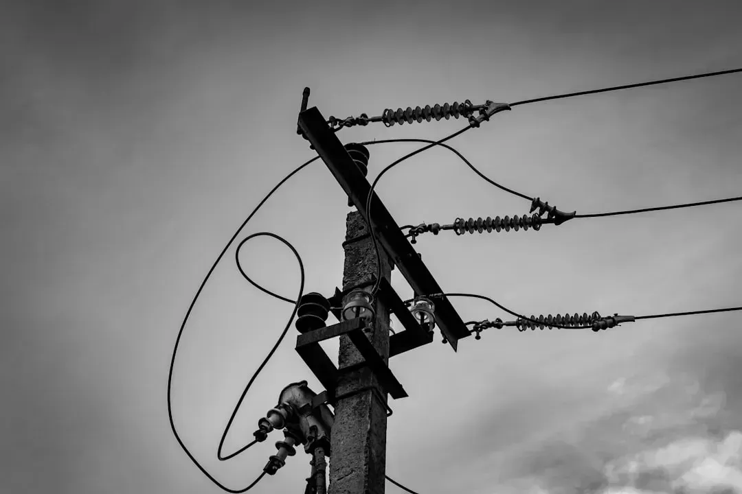 Negative Prices and the Economics of Oversupply (Image Credits: Unsplash)