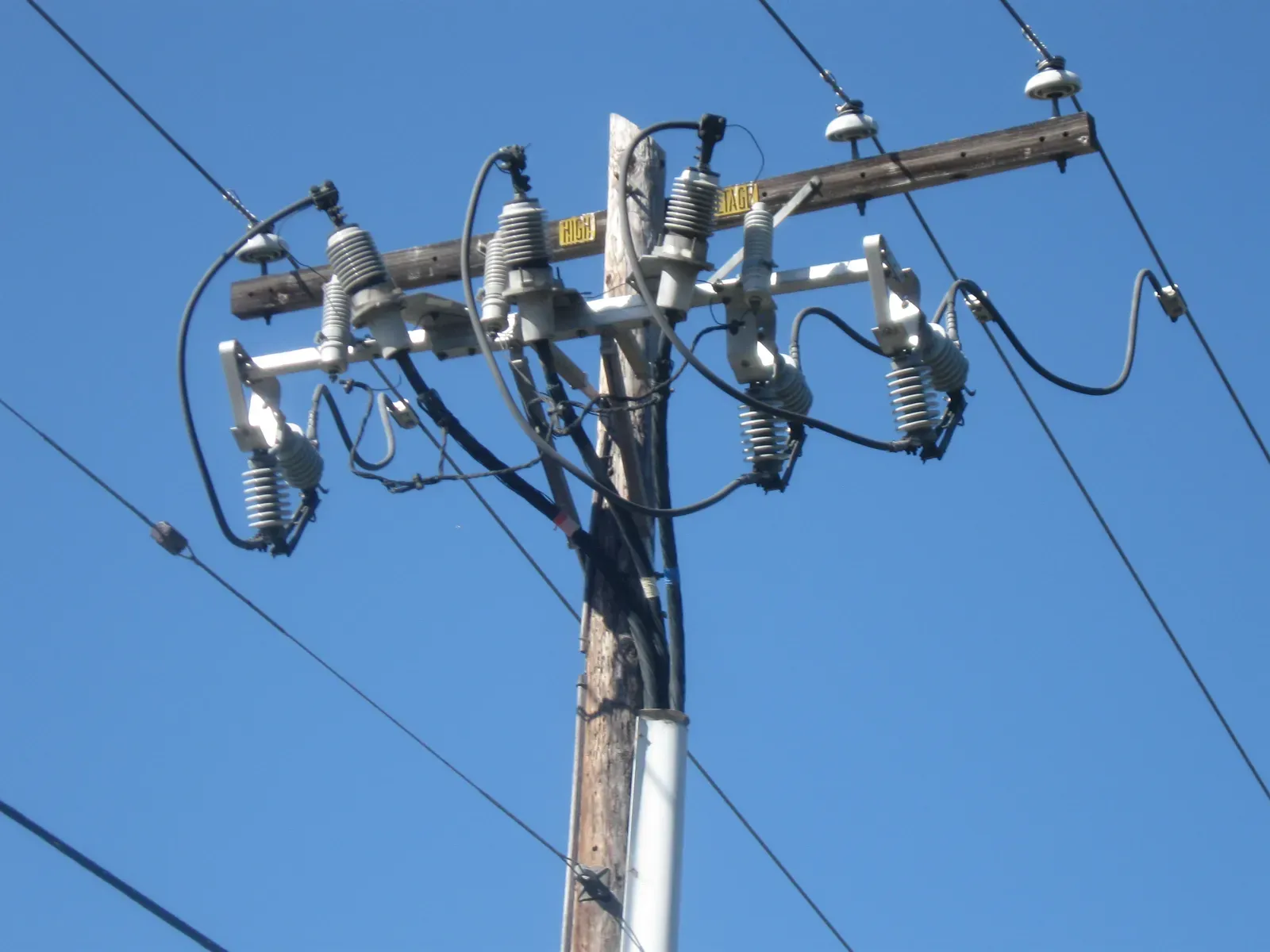 Conclusion: A Question Worth Asking, An Answer Worth Earning (Image Credits: Wikimedia)