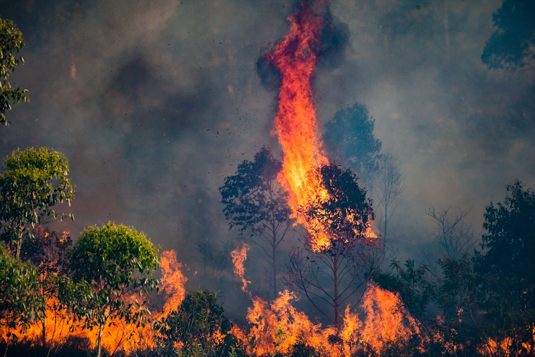 Australia: The Land of Fire and Flood (image credits: unsplash)