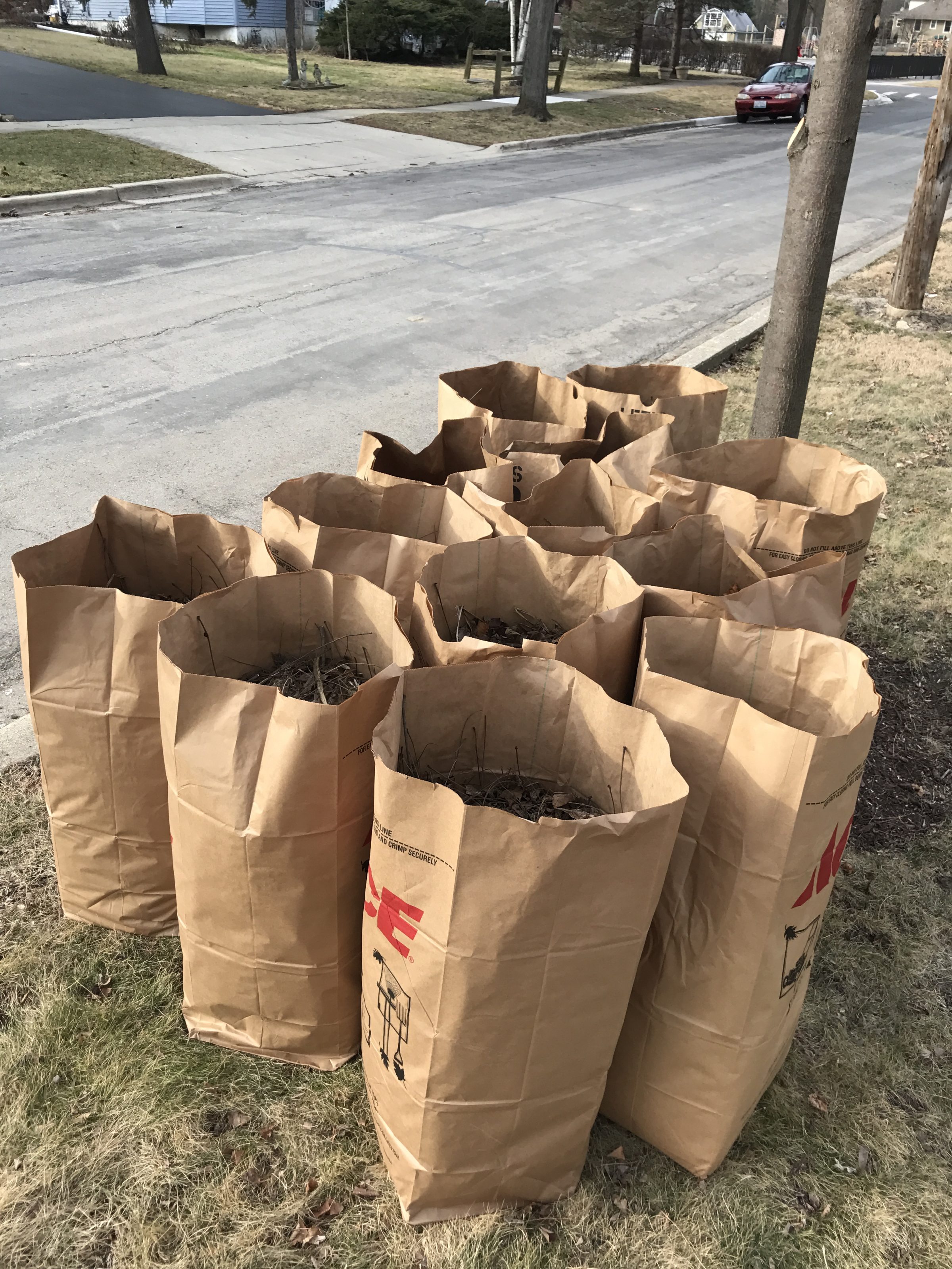 Using Biodegradable Bags for Yard Waste (image credits: wikimedia)