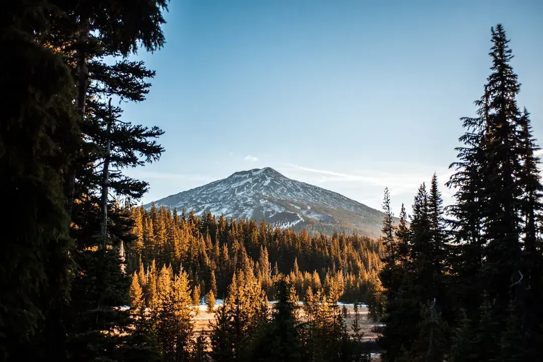 6. Bend and Central Oregon Corridor (Image Credits: Unsplash)