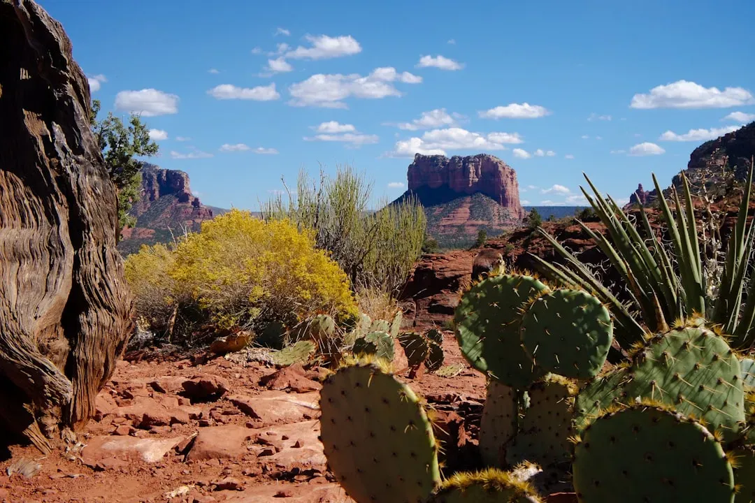 Yuma, Arizona (Image Credits: Unsplash)