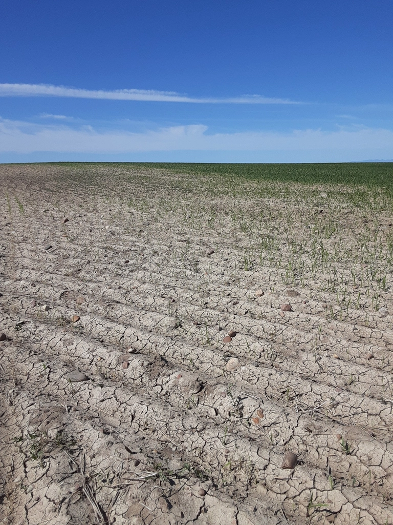 Extreme Weather Events Drive Agricultural Losses to Record Highs (image credits: rawpixel)