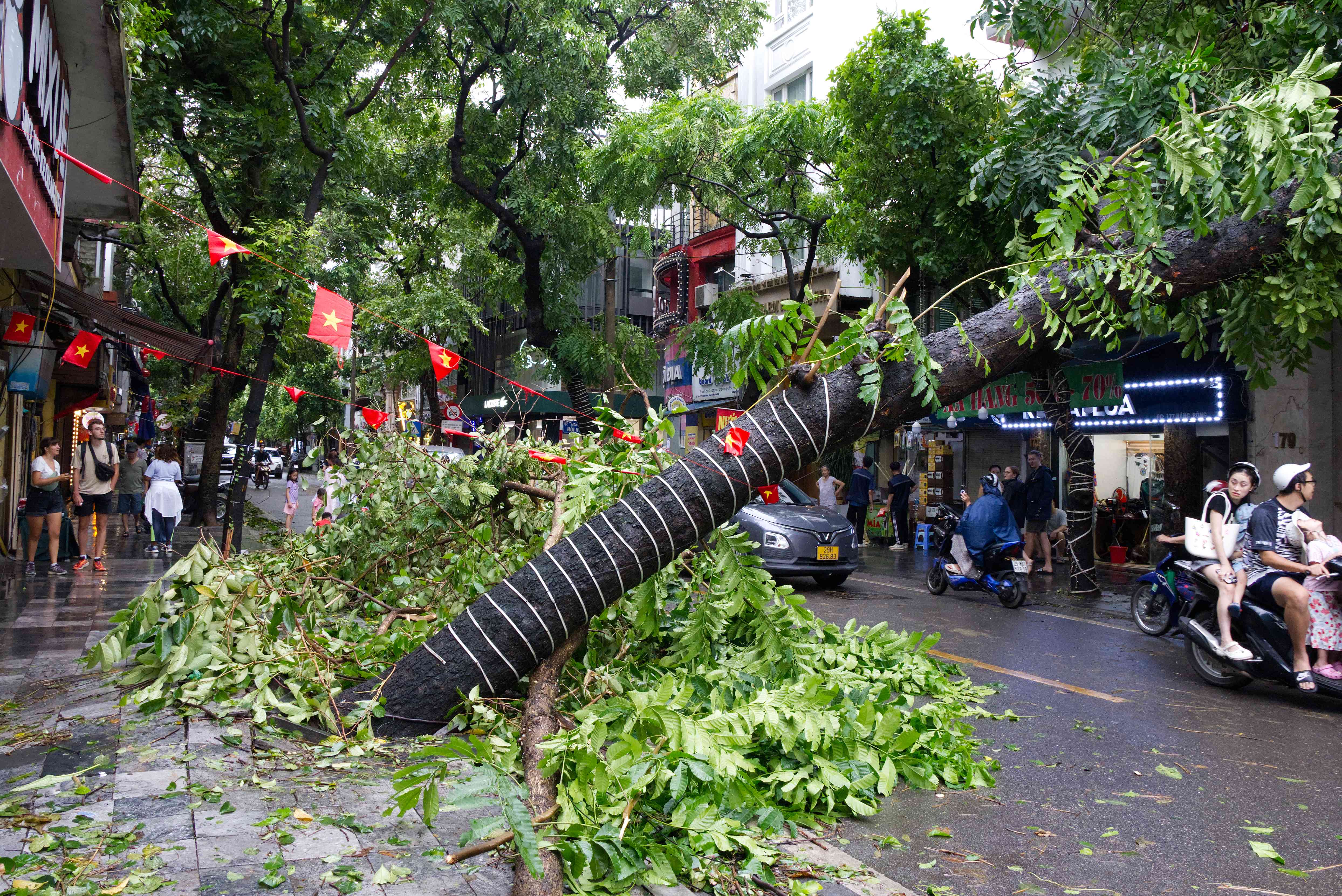 Vietnam: Typhoon Devastation (image credits: By Octagon, CC BY-SA 4.0, https://commons.wikimedia.org/w/index.php?curid=152571522)