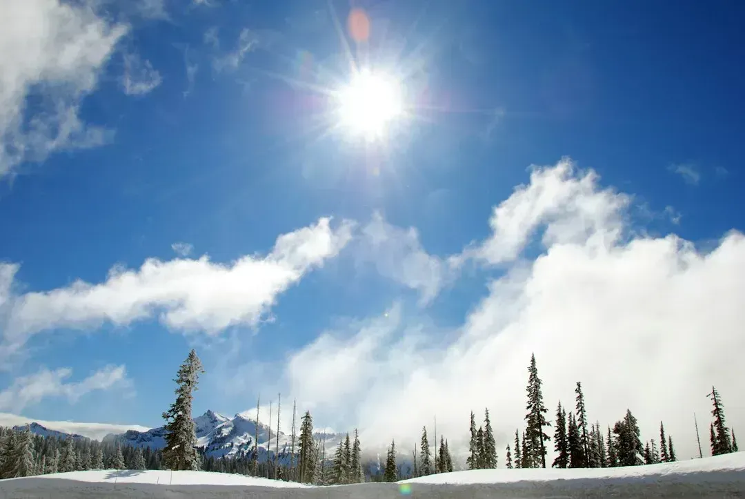 7. January Brought an Unexpected Warm-Up Instead of Deep Cold (Image Credits: Gallery Image)