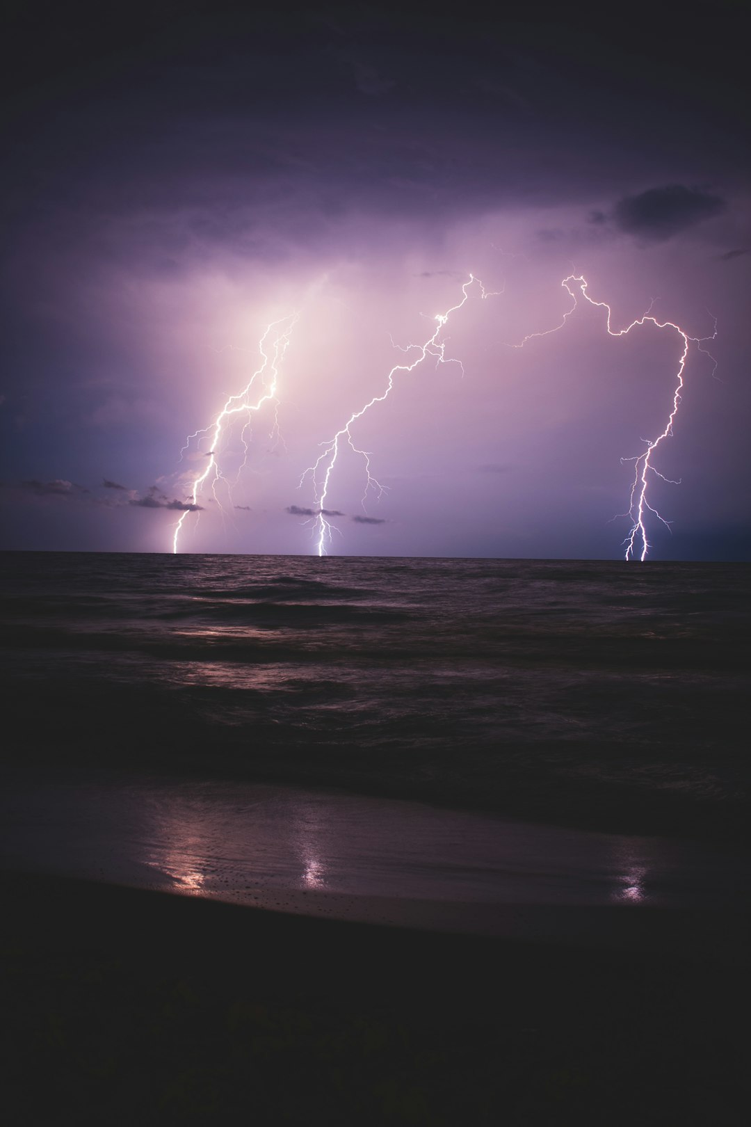 Bermuda Watches Closely (image credits: unsplash)