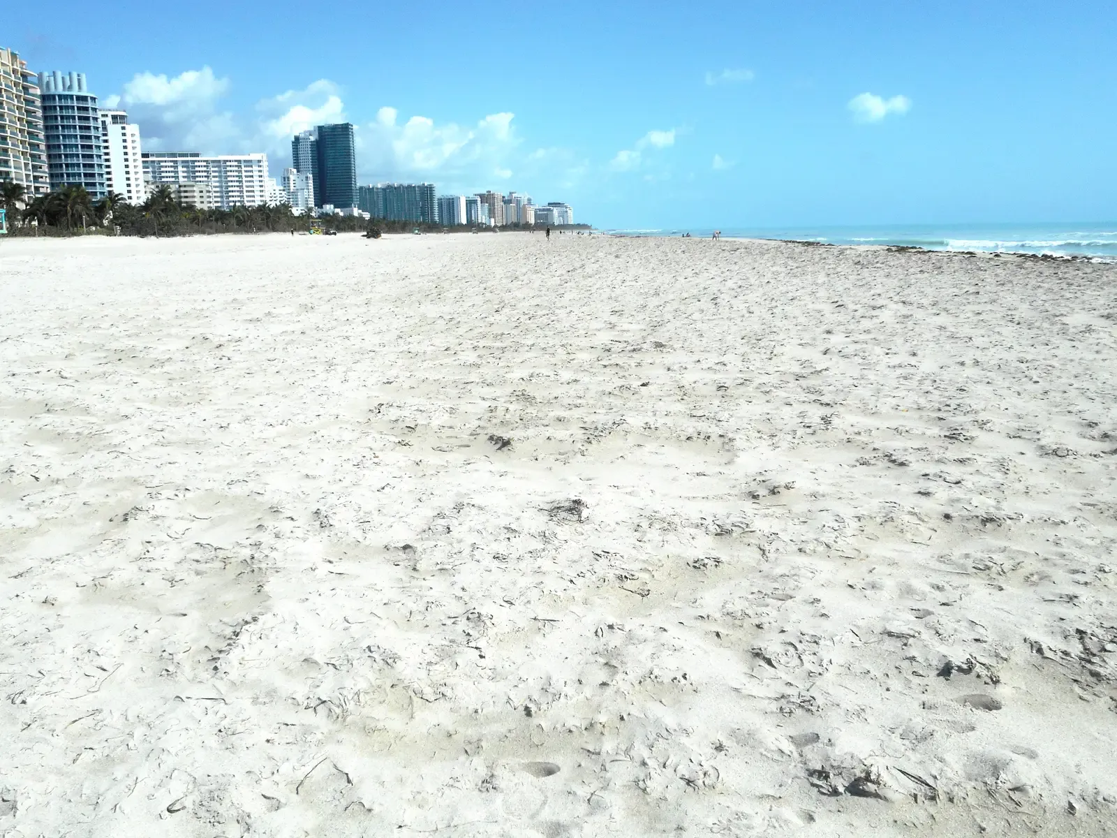 Miami, Florida: Hurricane Exposure and Year-Round Humidity (By Daniel Di Palma, CC BY-SA 4.0)