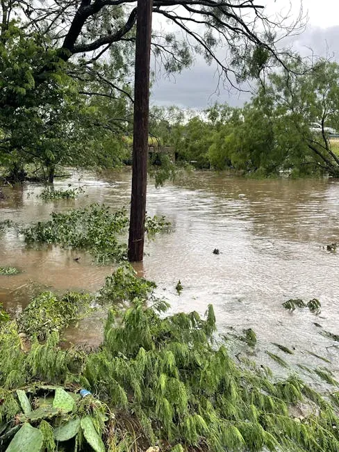 Texas: A State Caught Between Drought and Deluge (Image Credits: Pexels)