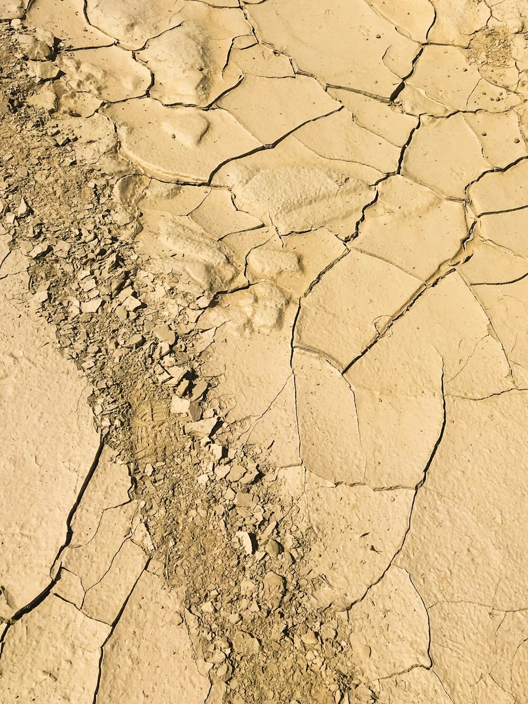 Water Bankruptcy Looms (image credits: unsplash)
