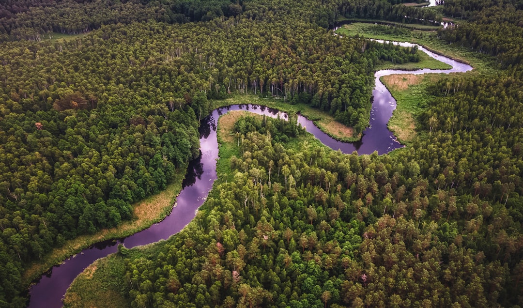The Amazon's Water Transport Giants Set Global Records (image credits: unsplash)