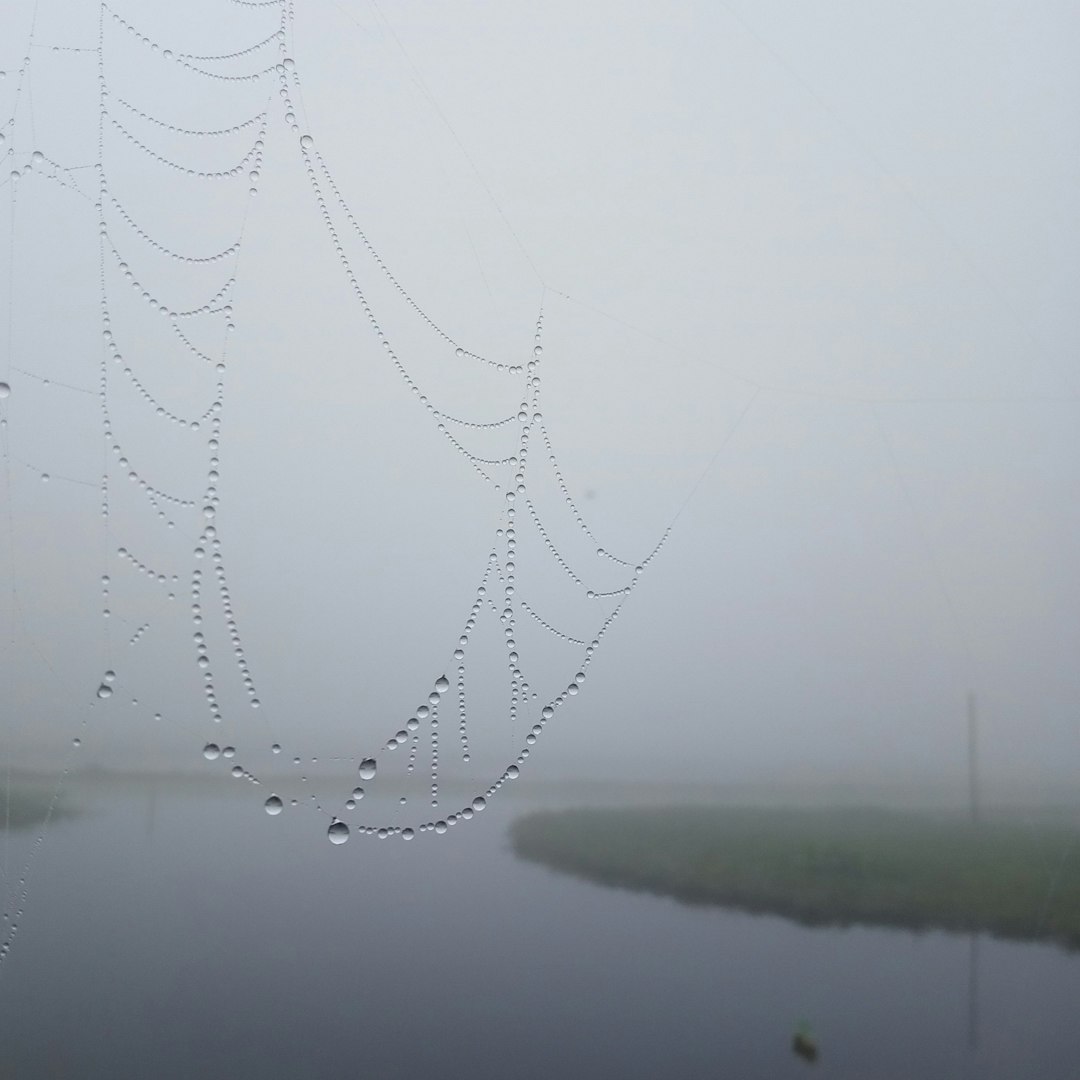 Advanced Fog Collection Technology Breaks New Ground (image credits: unsplash)