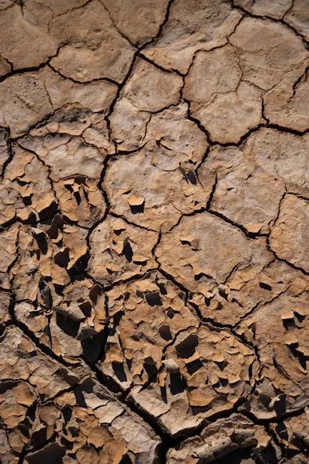The Southwest: Heat, Prolonged Drought, and a Diminishing Water Supply (Image Credits: Pexels)