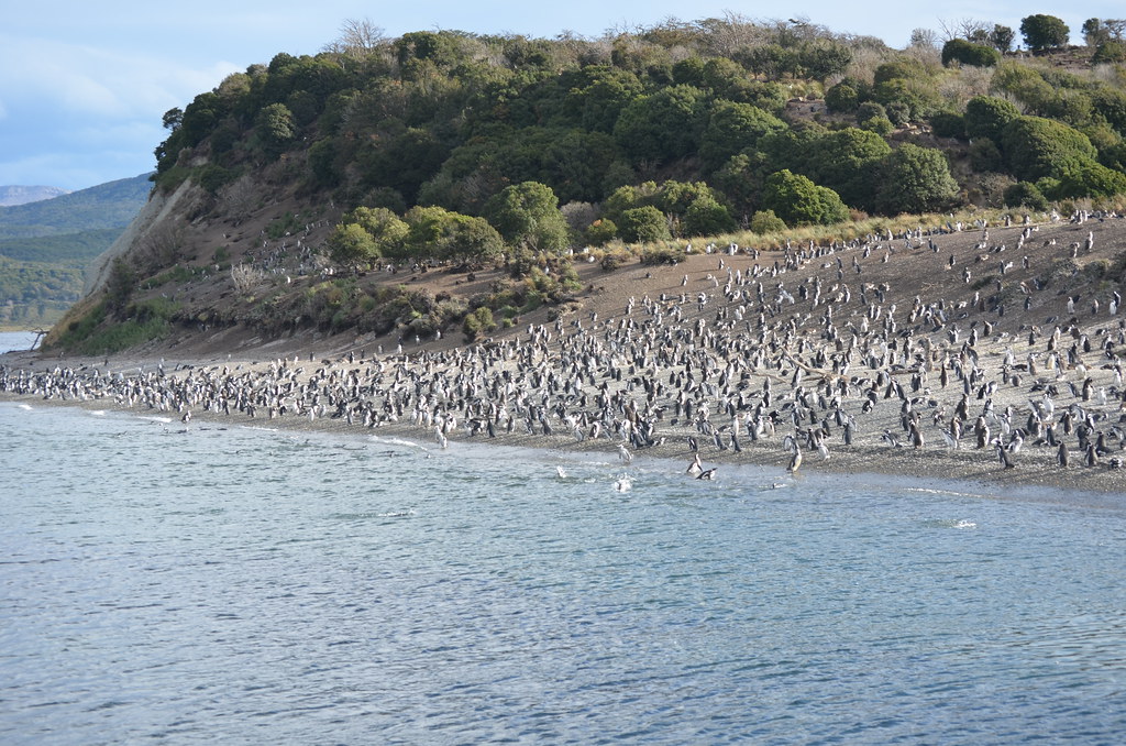 El Niño: When the Ocean Heats Up (image credits: flickr)