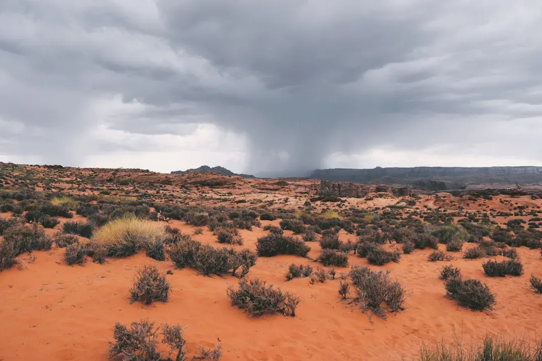 Arizona And The Southwest Drought-Storm Cycle (Image Credits: Unsplash)