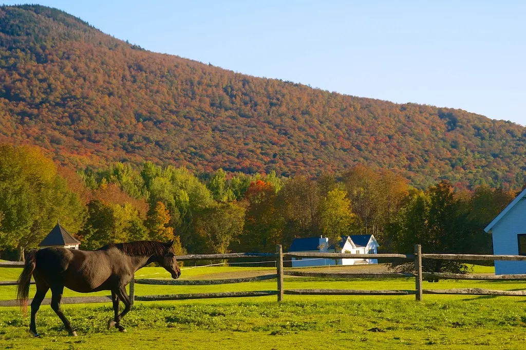 1. Vermont - America's Quiet Climate Champion (Image Credits: Flickr)