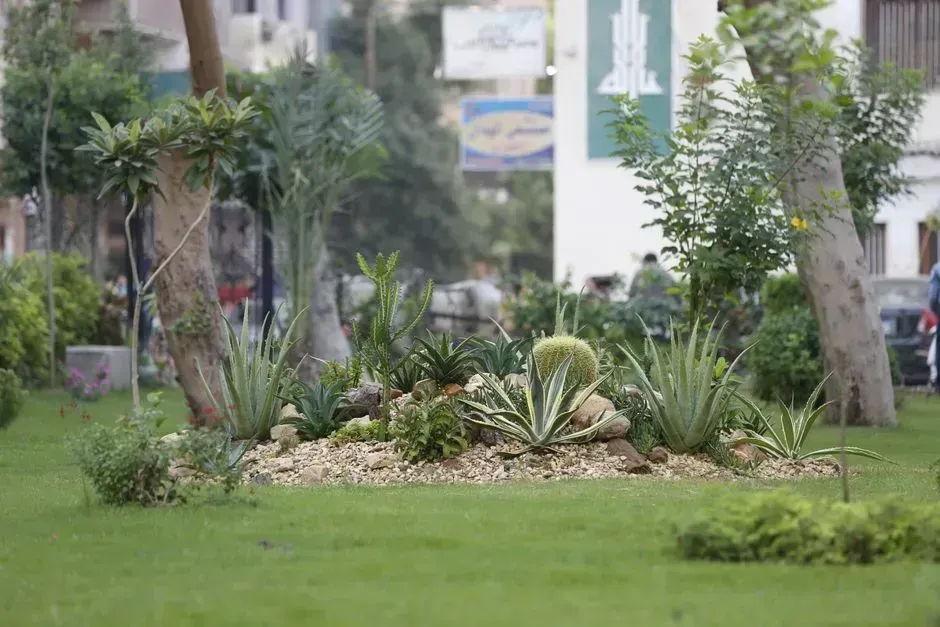 7. Removing decorative grass delivers outsized long-term savings (Image Credits: Pexels)
