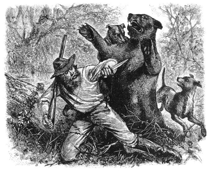 The First Fatal Attack: A Game-Changing Event (image credits: wikimedia)