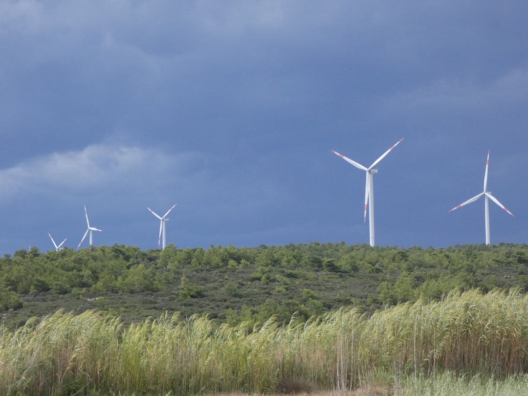 The Science Behind America's Windiest Places (image credits: unsplash)
