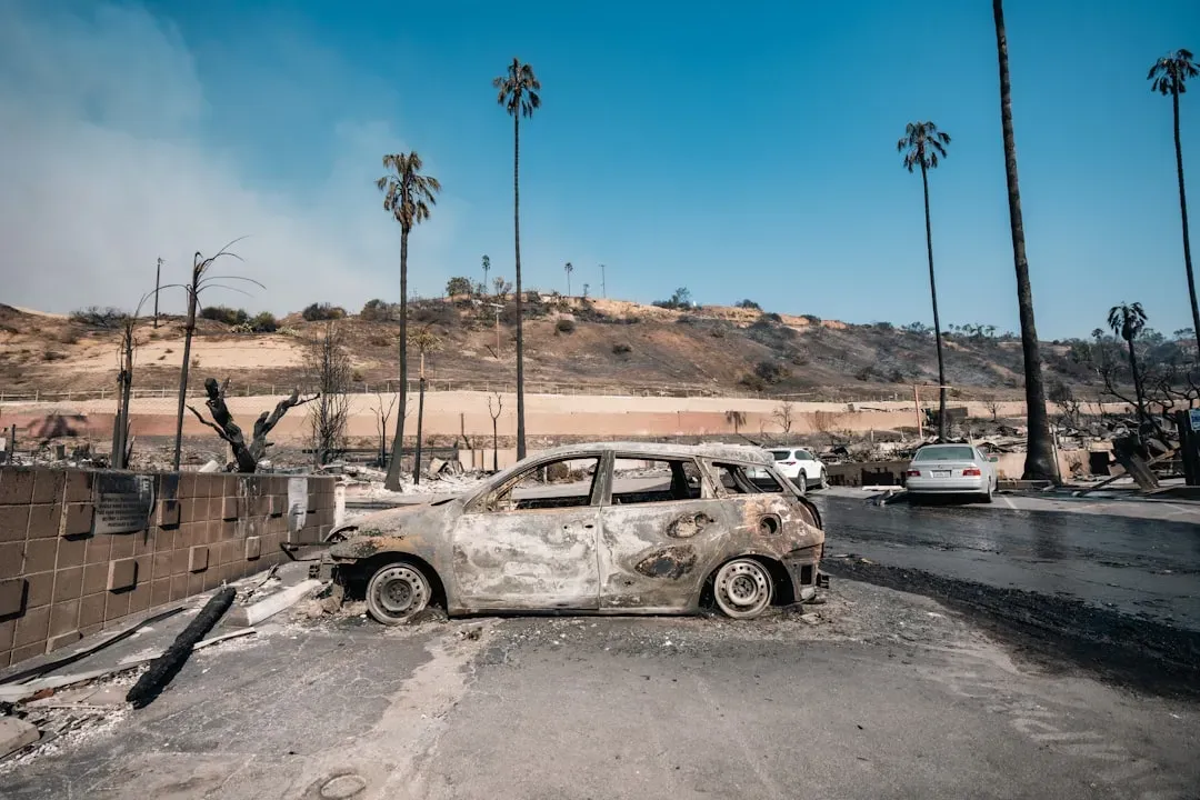 Los Angeles, California: The Wildfire Reckoning (Image Credits: Unsplash)