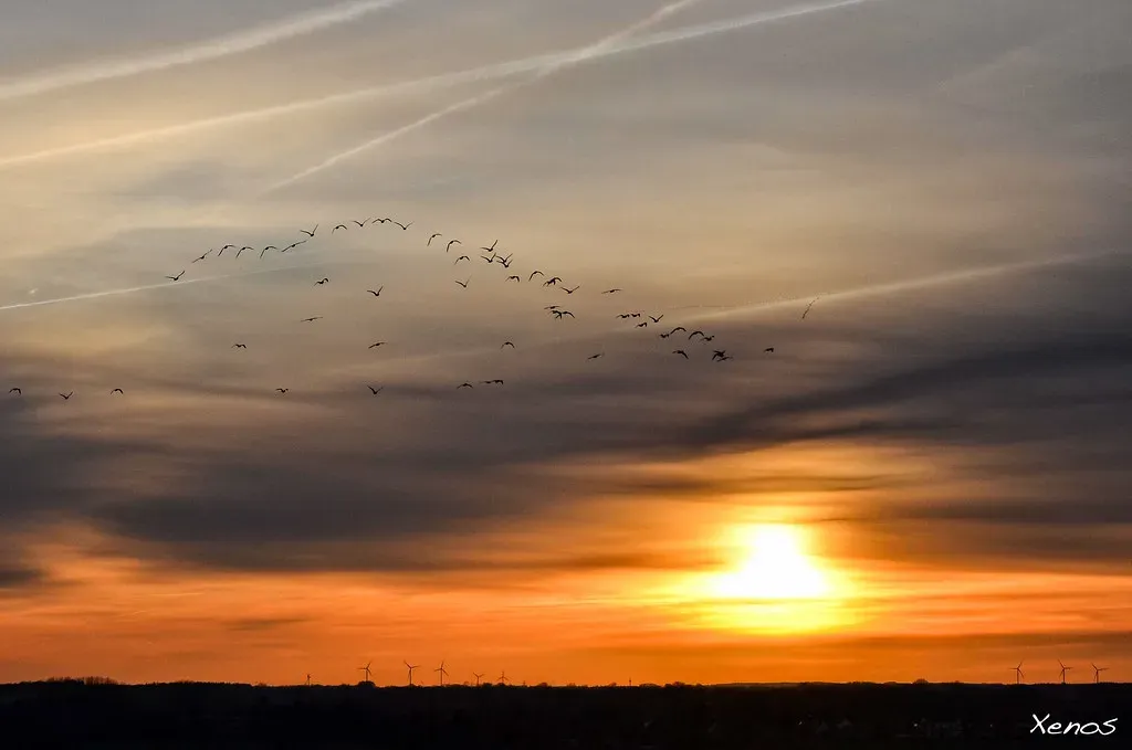 5. Shifting Cloud Cover and Weather Patterns Have Changed the Canvas (Uwe Niederberger, Flickr, CC BY 2.0)