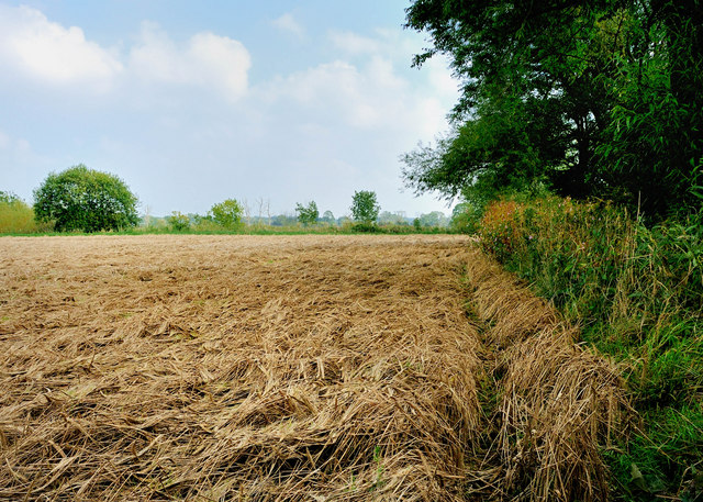 Flooding and Heavy Precipitation Destroy Crop Infrastructure (image credits: wikimedia)