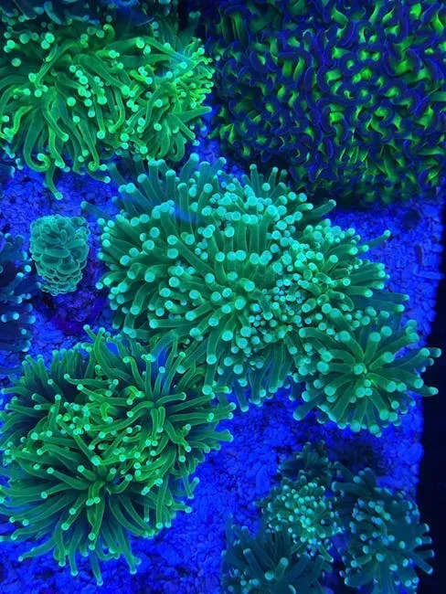 The Brine Spreads Further Than You Think (Image Credits: Pexels)