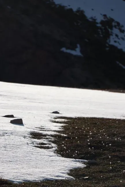 A Divided Winter Future (Image Credits: Pexels)