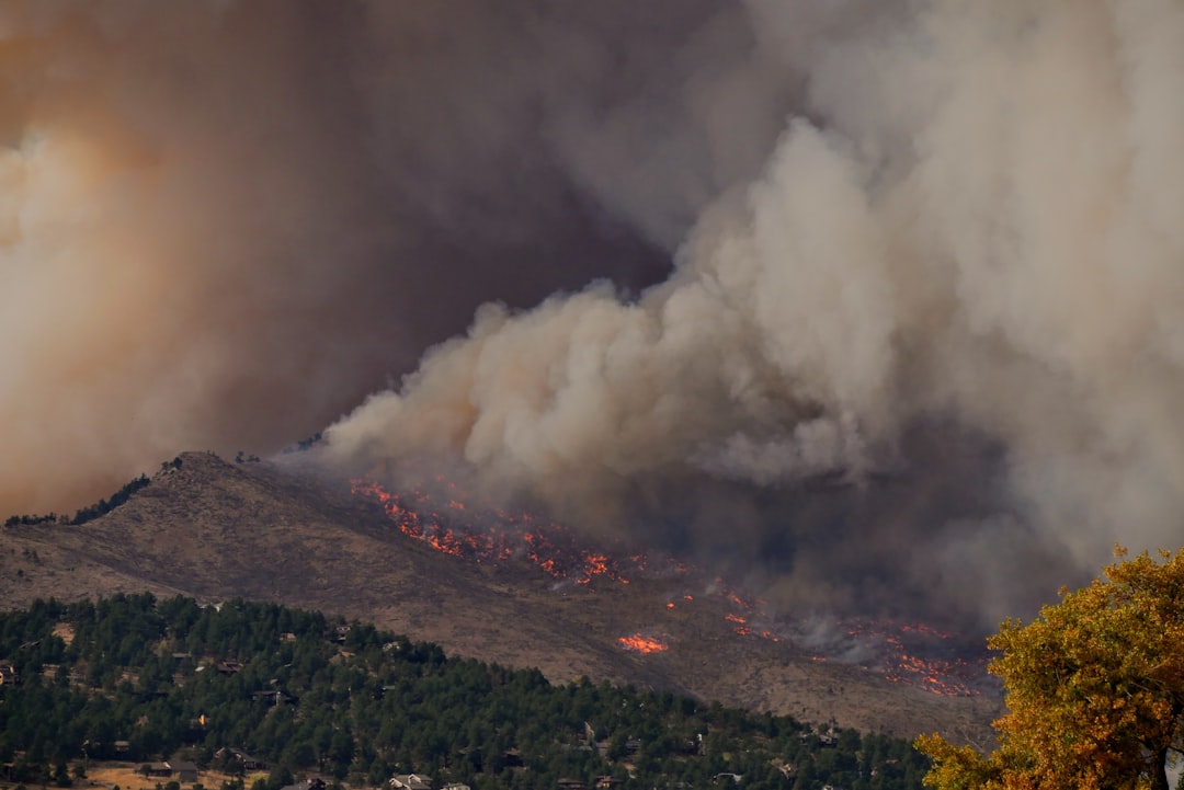 Wildfire Seasons Grow Longer and Fiercer (image credits: unsplash)