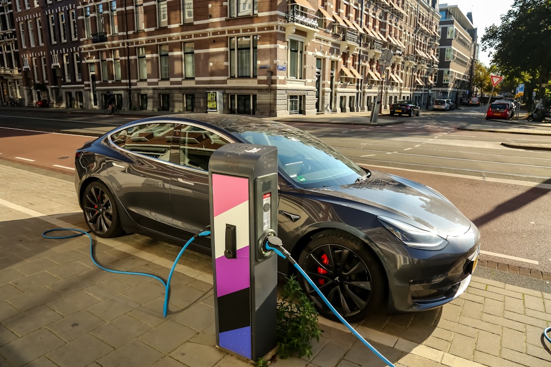 Netherlands Shows Resilience After Subsidy Changes (image credits: unsplash)