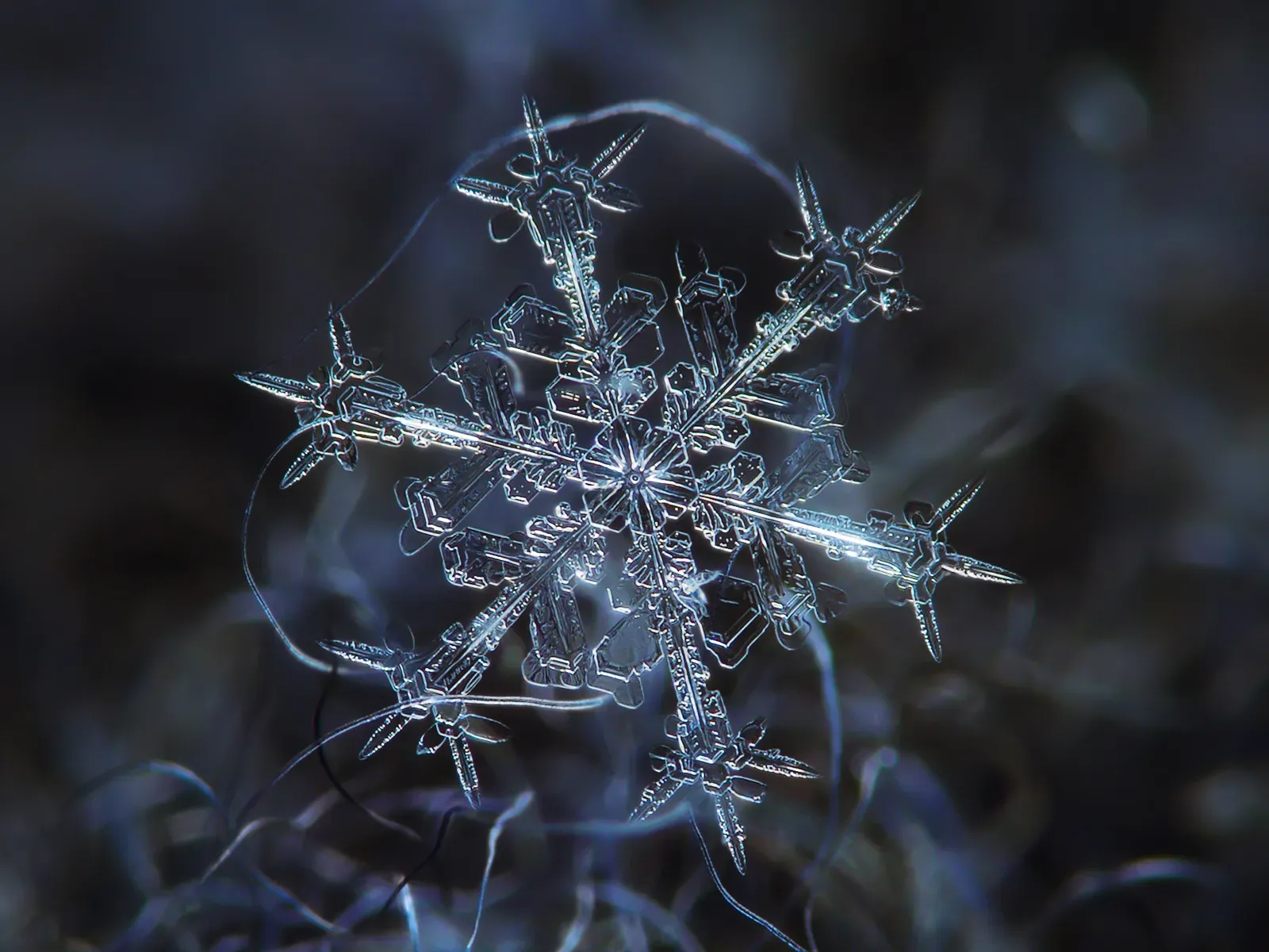 How Snowflakes Form and Why No Two Look Exactly Alike – Climate Compass