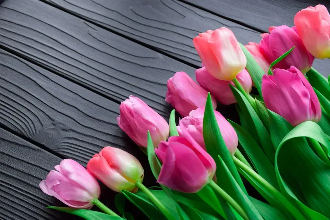 4. Tulips (Image Credits: Unsplash)