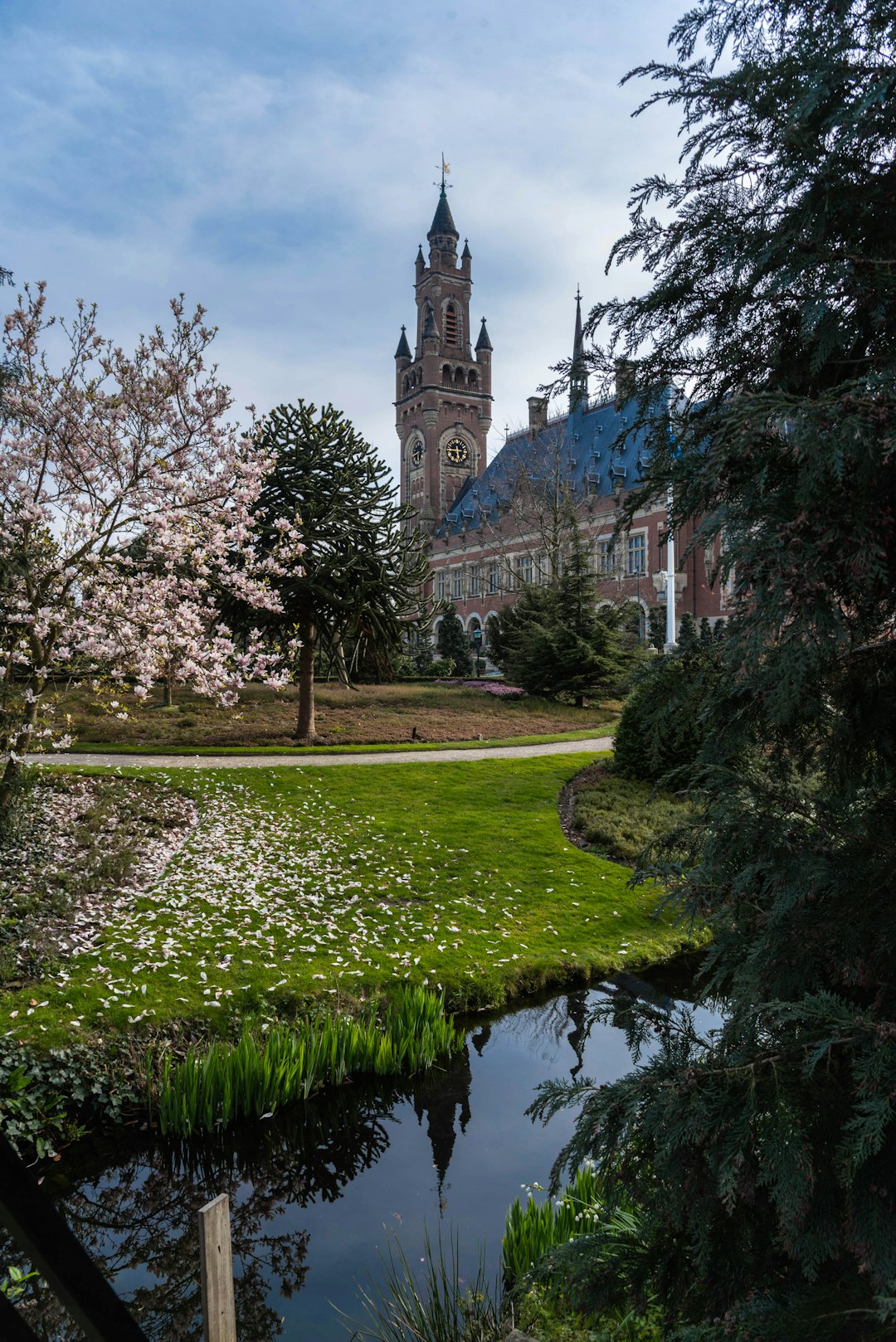 A Revolutionary Decision Emerges from The Hague (image credits: unsplash)