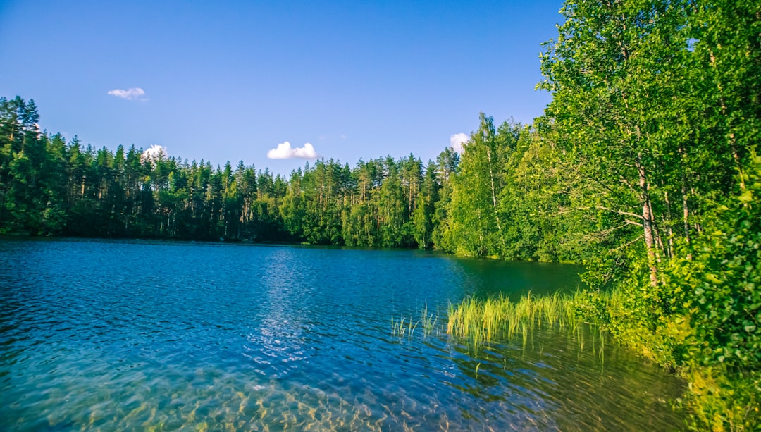 Finland: Harnessing Policy and Nature for Stability (image credits: unsplash)