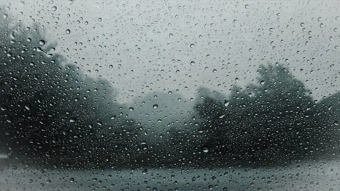 5. Rising humidity and a climbing dew point (Image Credits: Unsplash)