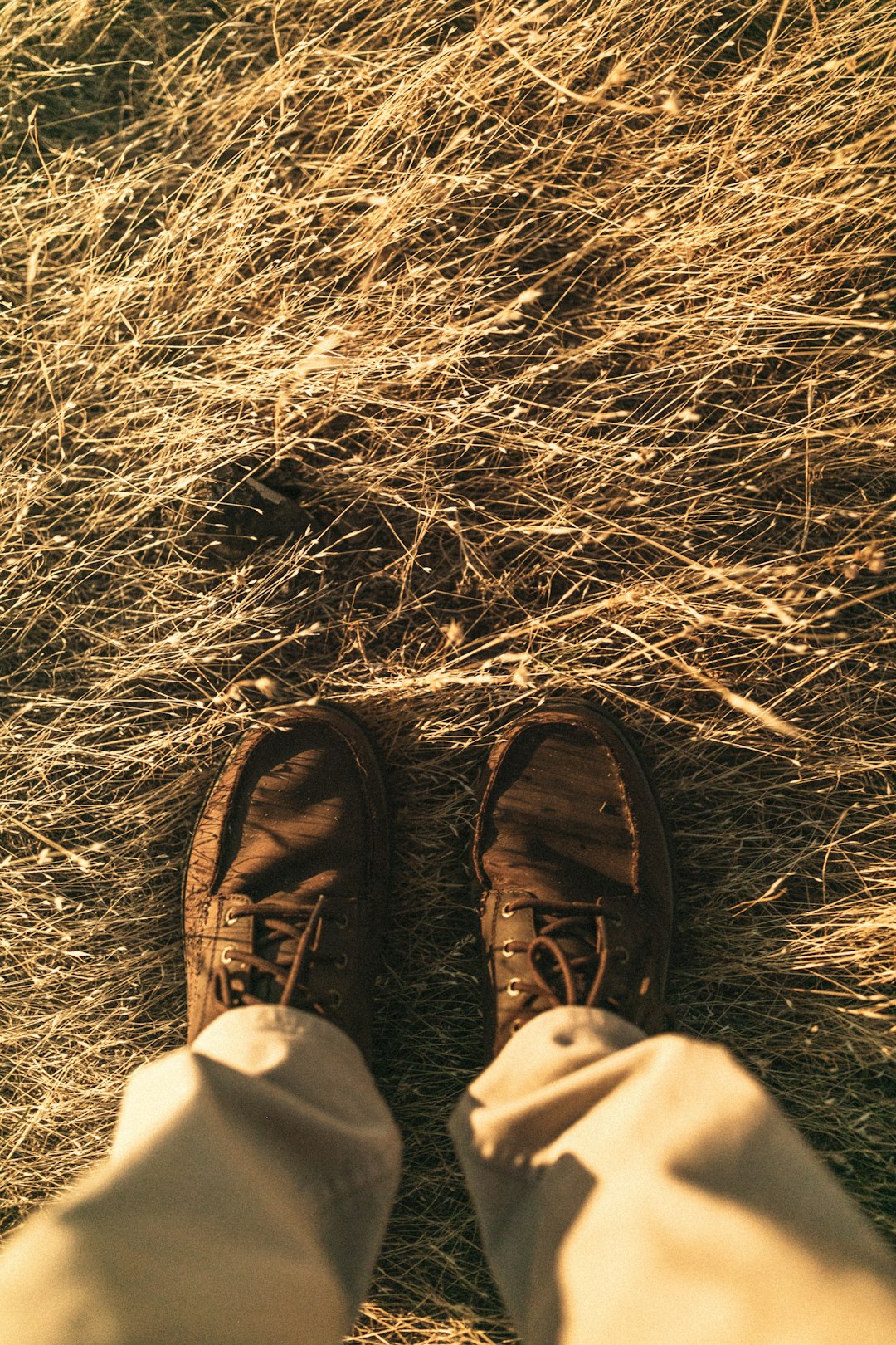 Walking All Over Your Heat-Stressed Lawn (image credits: flickr)