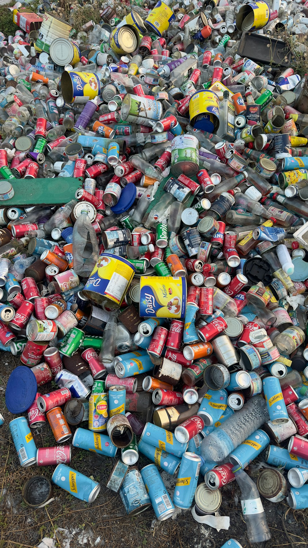 Beyond Plastics Louisville Partners with City Officials (image credits: unsplash)