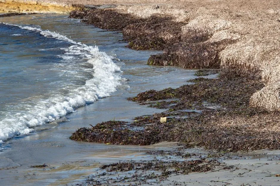 7. Saltwater Intrusion Into Groundwater or Unexpected Soil Saturation (Image Credits: Pexels)