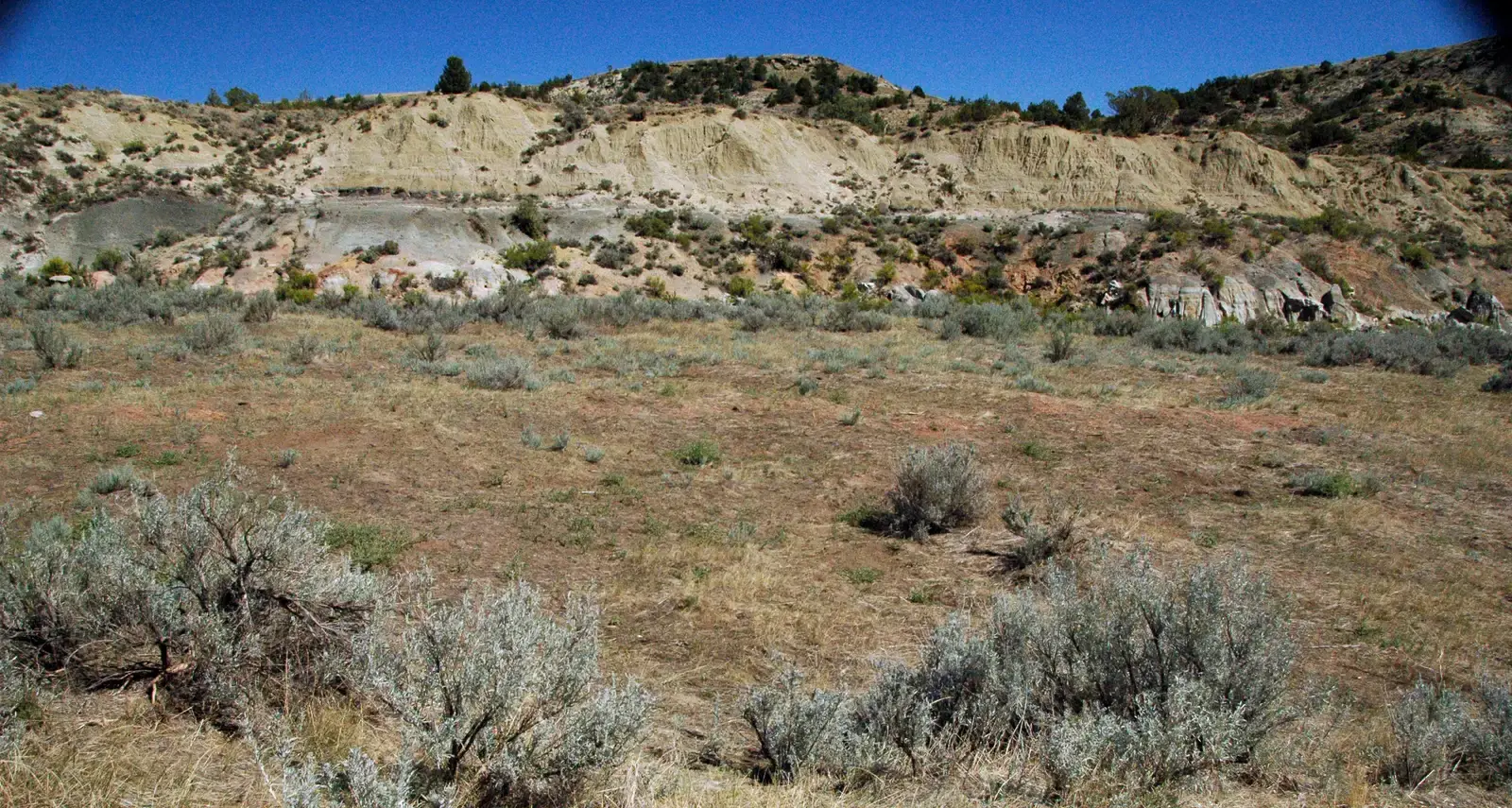 The Hidden Threat: Land Subsidence Making Everything Worse (By James St. John, CC BY 2.0)