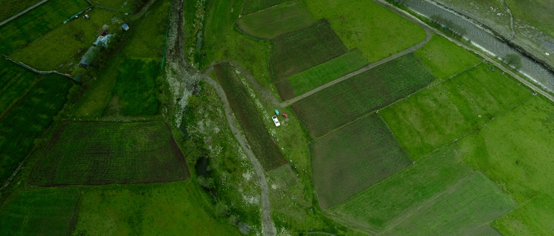 China: Large-Scale Greening Efforts (image credits: unsplash)