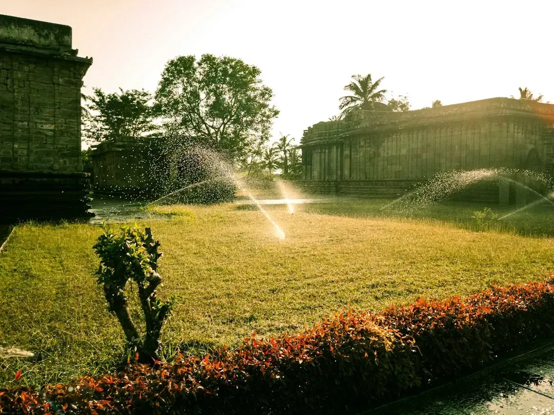 1. Watering the lawn on a fixed schedule (Image Credits: Unsplash)